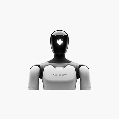 Robot companion