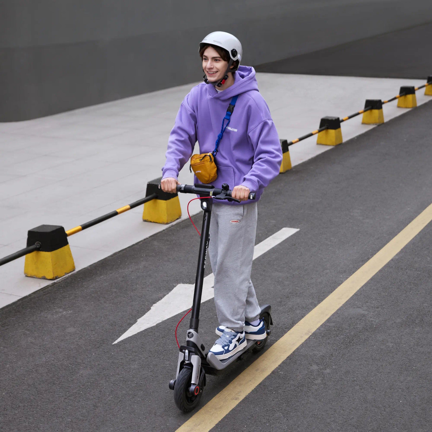 Segway E3 PRO Electric KickScooter