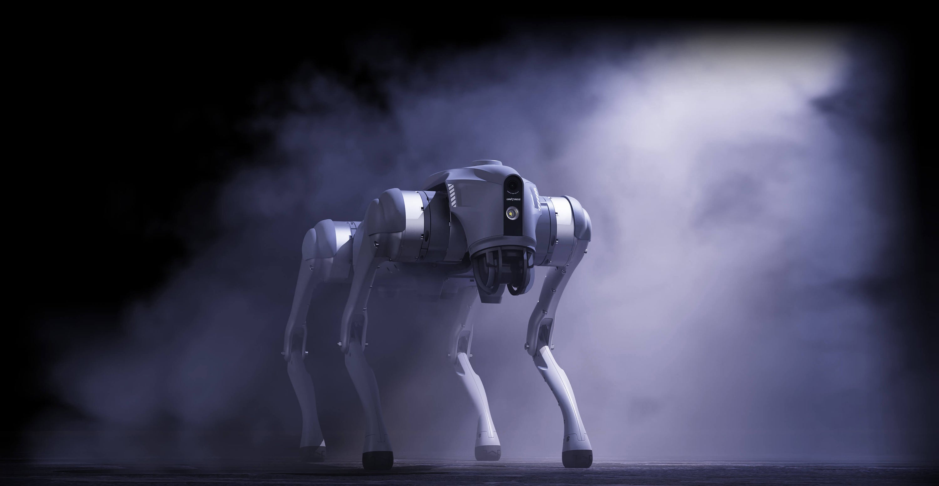Robot companion